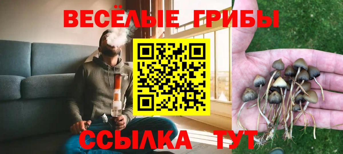 Белореченск  Галлюциногенные грибы MAGIC MUSHROOMS  Вход с VPN 
