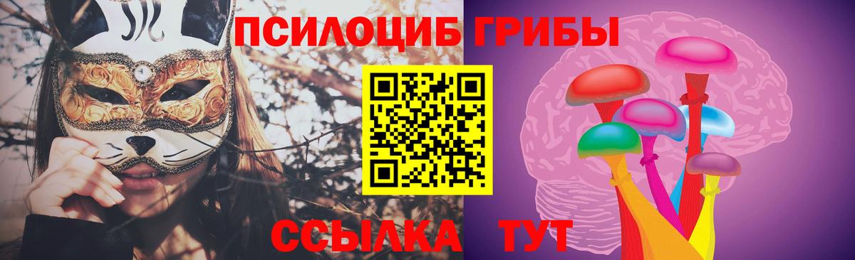 Псилоцибиновые грибы Psilocybine cubensis Белореченск